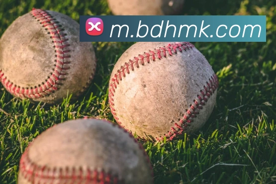 mk体育全站App mk体育全站App